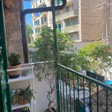 Mist 1 Center 斯普利特