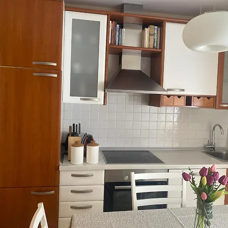 Apartamento Mist 1 Center Split